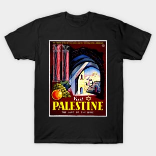 Palestine Vintage 1930 Jewish Agency Advertising Travel Print T-Shirt